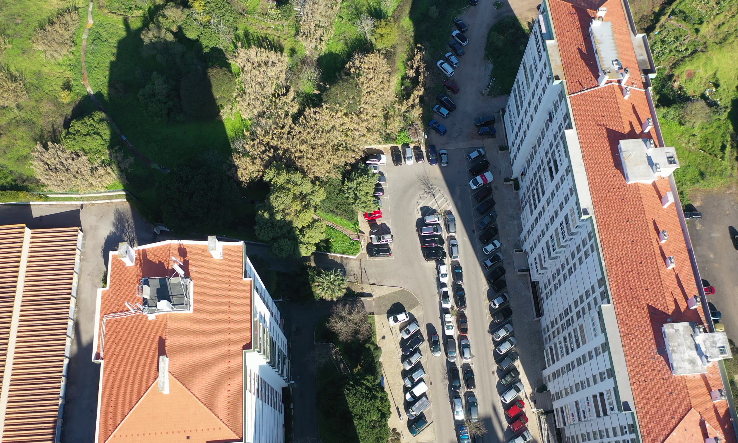 cropped-vlcsnap-2023-05-02-11h28m41s880.png